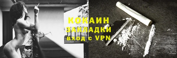 гидра Абаза